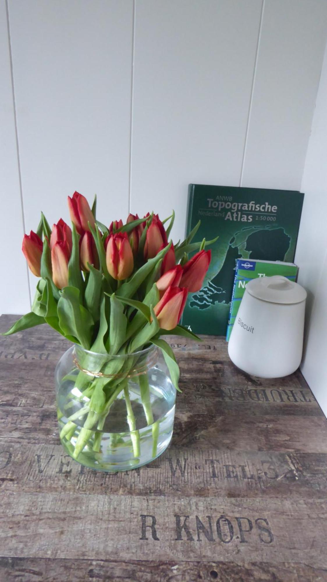 Beemster Oase Bed & Breakfast Middenbeemster Eksteriør bilde